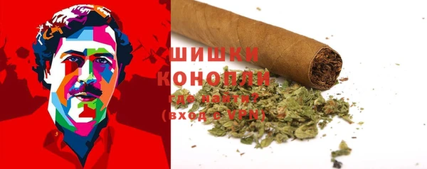 ГАЛЛЮЦИНОГЕННЫЕ ГРИБЫ Снежинск